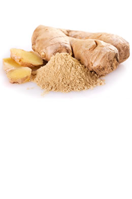 Ginger