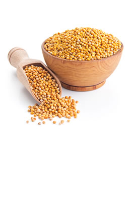 Mustard seeds